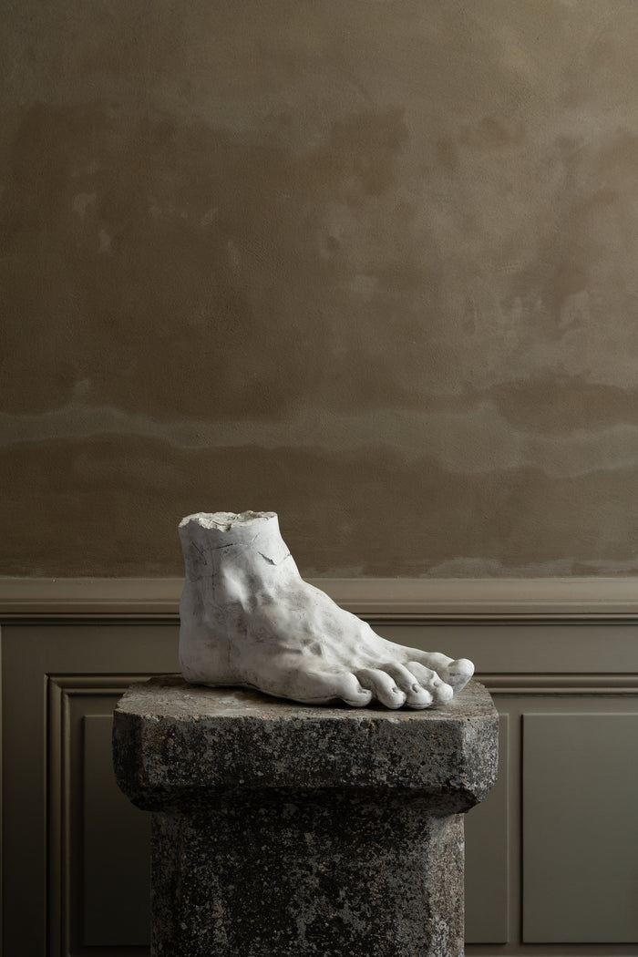 Old academic study plaster of a Foot