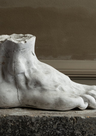 Old academic study plaster of a Foot