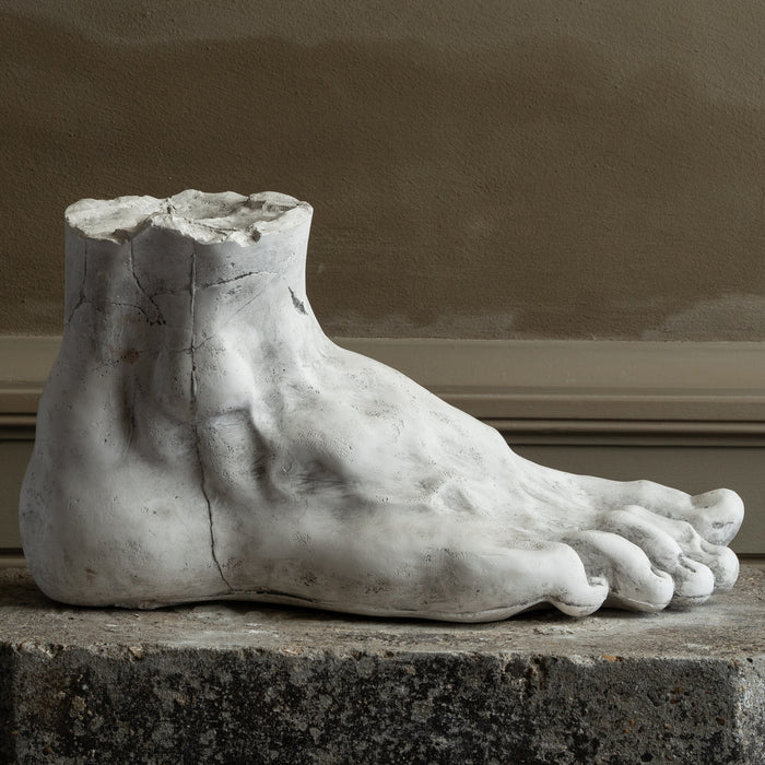 Old academic study plaster of a Foot